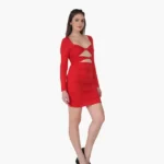 Chic Long Sleeve Party Dress For Women