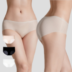 Women's Seamless Antibacterial Soft Brief Panty – Ultra Thin Ice Silk Underwear